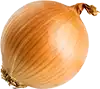 البصل المفروم