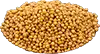 بذور الخردل
