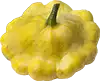 باتيبان الاسكواش