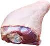 تركيا الفخذ
