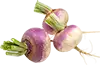 اللفت