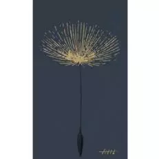 دريسكول النبيذ شركة تيلث زينفاندل