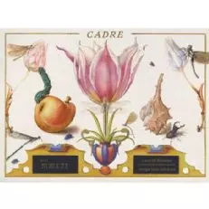 كادر ستون بلوسوم ساوفيجنون بلان