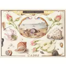 كادر البحر الملكة ألبارينو