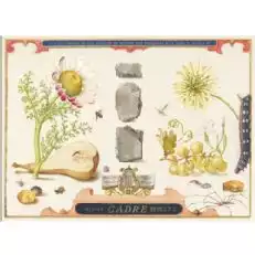 كادر باند أوف ستونز جرونر فيلتلاينر