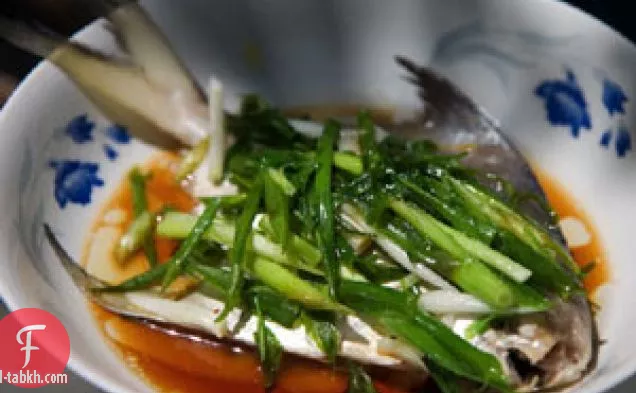 السمك الصيني على البخار مع البصل الأخضر