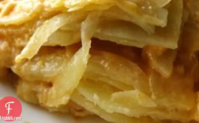 صدفي البطاطا ط