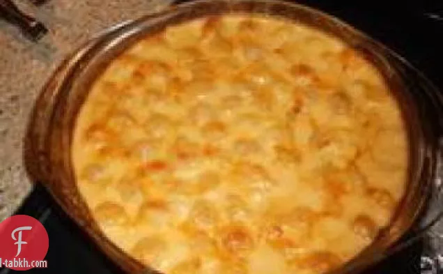 بصل الجبن