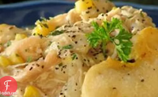 طباخ بطيء الدجاج والزلابية
