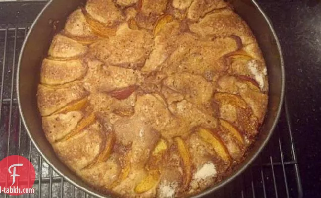 كعكة الفاكهة الصيفية