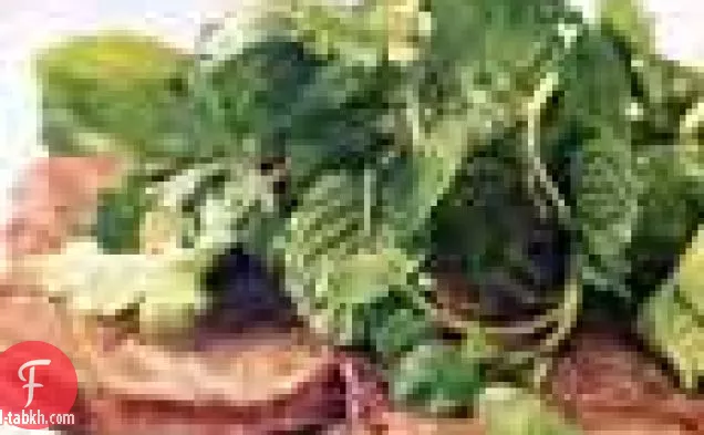 لحم البقر مع الجرجير وسلطة الأعشاب