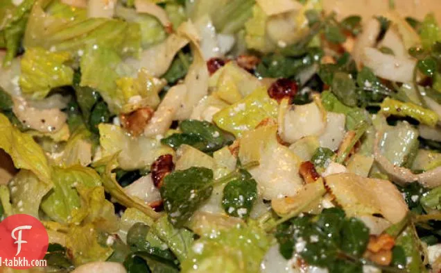 سلطة الخضر الحلوة والمريرة مع صلصة الجبن الأزرق جورجونزولا