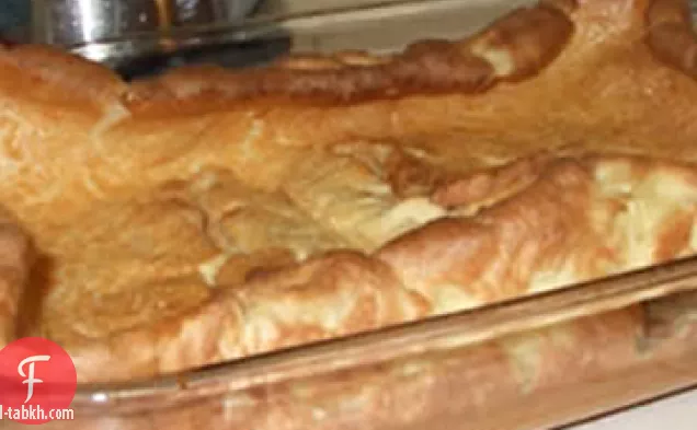 الهولندية الاطفال أنا