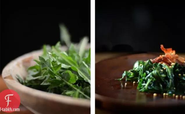 الأعشاب الضارة على طاولة المطبخ: خضار الهندباء الذابلة مع بذور الخردل المحمص