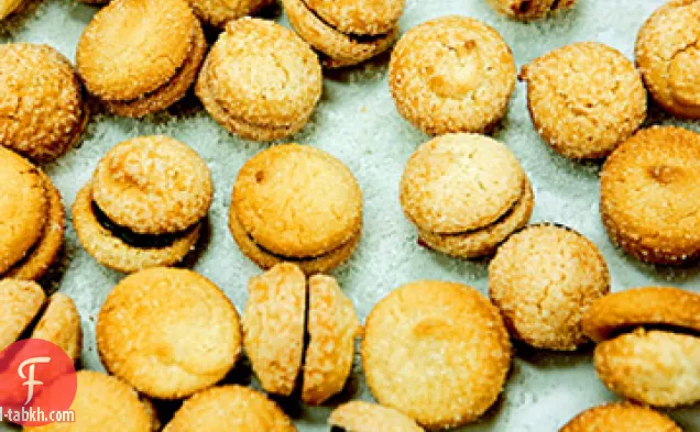 الغاناش