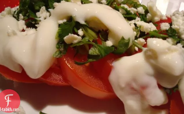 سلطة بصل التندوري