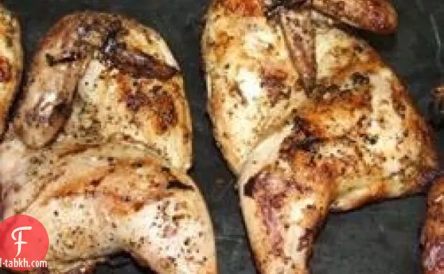 دجاج كورنيش مشوي
