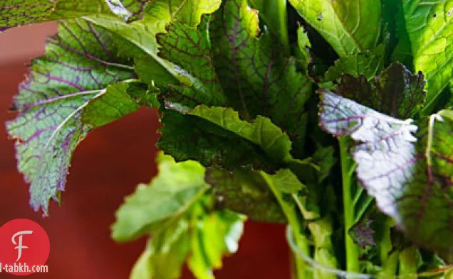 الخضر الجنوبية الجديدة
