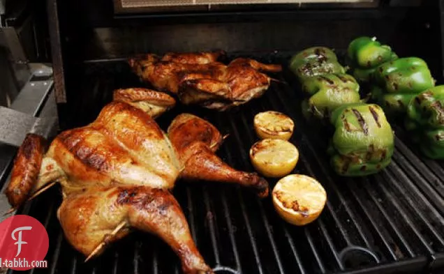 اوريجانو-دجاج مشوي متبل بالليمون المتفحم