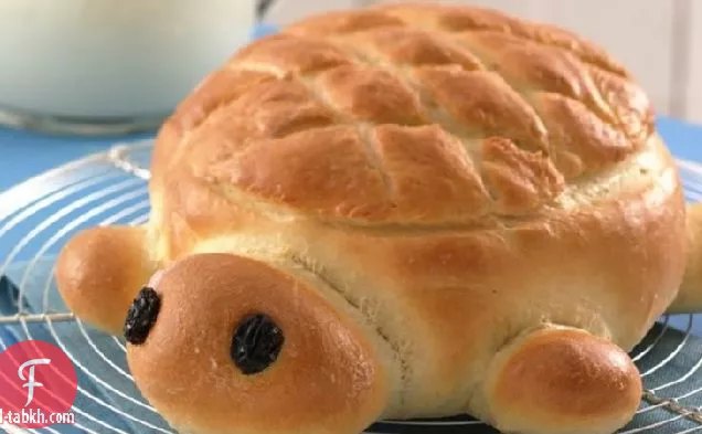 خبز السلحفاة