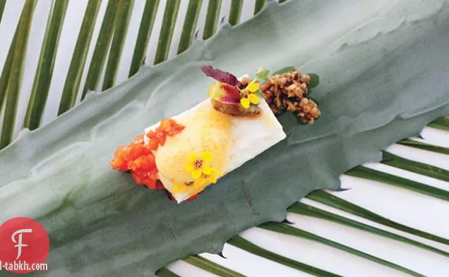 شرائح سمك الهلبوت المطهو ببطء في جوز الهند وعشب الليمون مع الباذنجان المدخن وصلصة الطماطم والزنجبيل