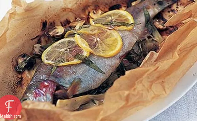 سمك السلمون المرقط مع النبيذ الأبيض والشمر