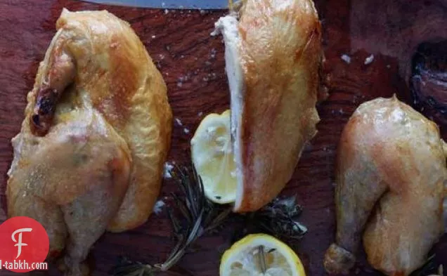 جان جورج فونجريشتن دجاج مشوي كريسب سيفوري
