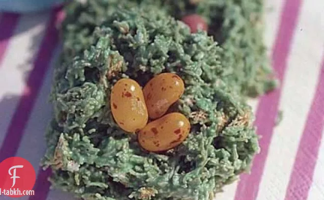 أعشاش بيض روبن