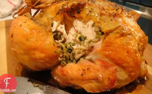 طهي الكتاب: دجاج مشوي في بورشيتاتا