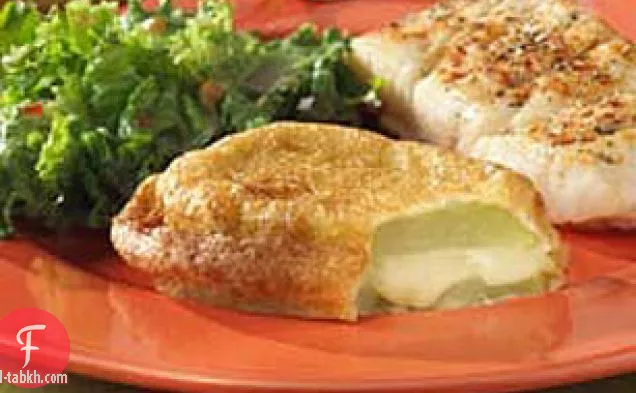 شايوتس ريلينوس