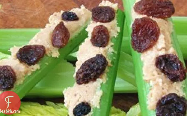 النمل على السجل