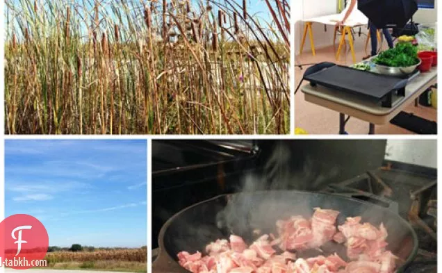 الكيمتشي الجبن المشوي + الحكم على الغرب الأوسط الكبير مسابقة الجبن المشوي