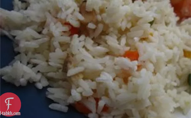 بيلاف الأرز النباتي في طباخ الأرز