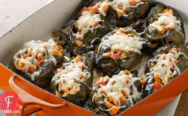 نباتي شيلي ريلينوس