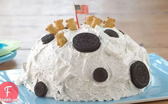 كعكة الهبوط على سطح القمر