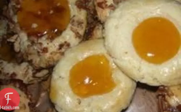 أعشاش الطيور الرابع