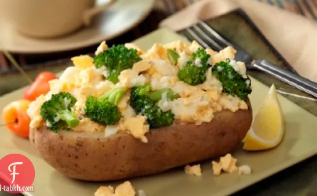 القرنبيط - البيض محشوة البطاطا المخبوزة