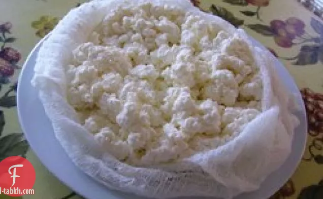 الجبن الطازج محلية الصنع