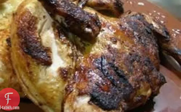 دجاج بيرة مشوي