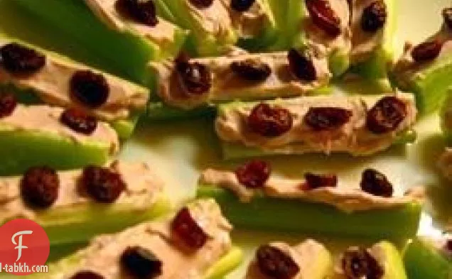 الخنافس على سجل