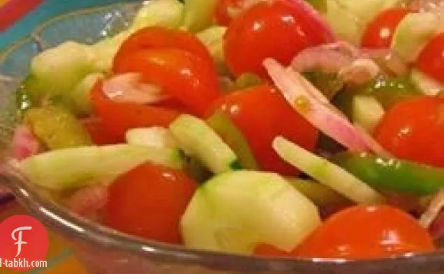 سلطة النار والجليد