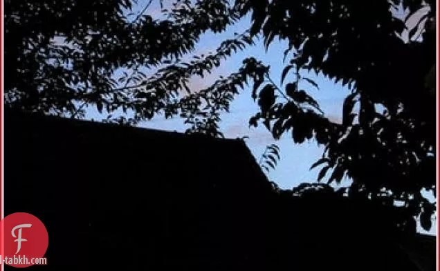 هاباس كون جامون (فاصوليا عريضة مع لحم الخنزير الإسباني)