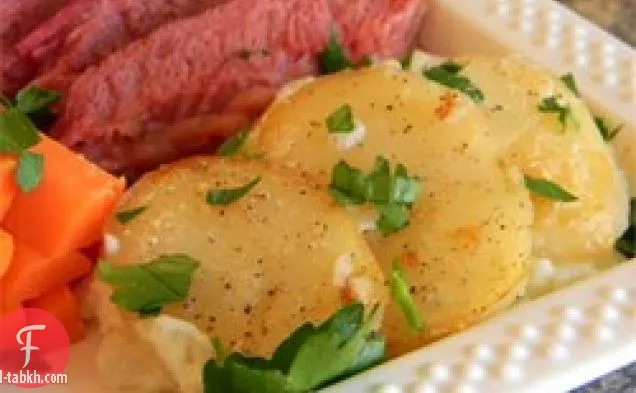 البطاطا الأيرلندية القديمة صدفي