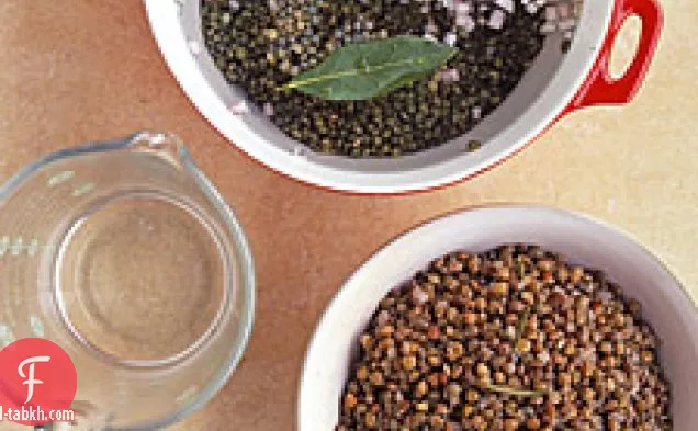عدس روزماري