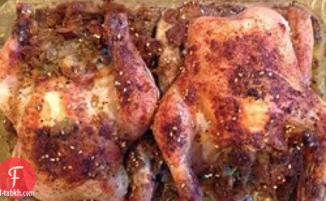 الجدة ماريان كورنيش لعبة الدجاج