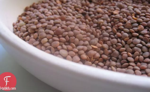 زوبا دي لينتيتشي أوستيسيسي