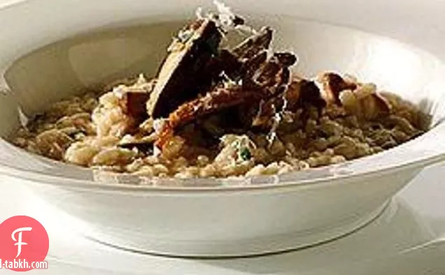أكلة الفطر البري