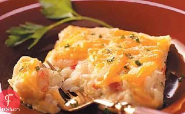 فلوريدا المأكولات البحرية خزفي