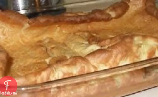 الهولندية الاطفال أنا