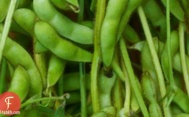 أواخر الصيف